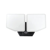 FLOOD LT AC 2HD BLK D2D 3000LM